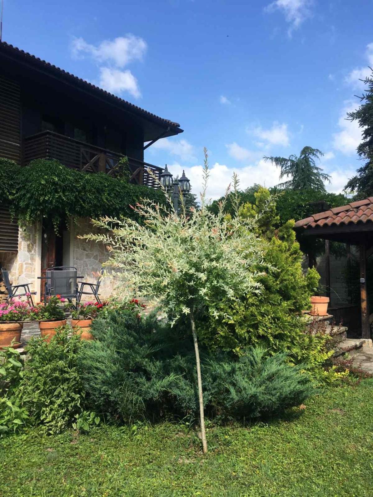 Eco Residence Ribarica Extérieur photo